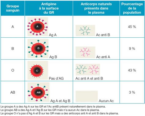La transfusion sanguine et ses règles de compatibilité Actusoins