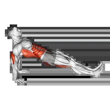 Reverse Plank - Guide, Benefits, and Form