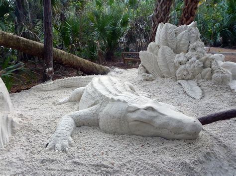 Florida Mega Fauna American Alligator Sand Sculpture By S Flickr