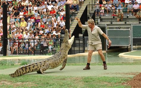 Australia celebra el legado del Cazador de Cocodrilos en su día NexPanama