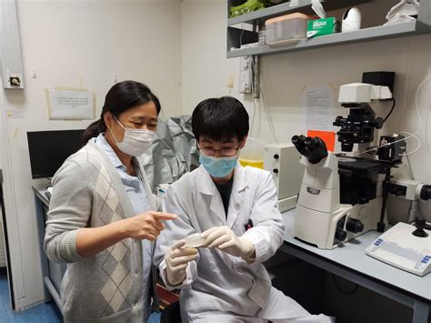 Hku Biologists Artificial Chromosomes Study Sheds Light On Gene