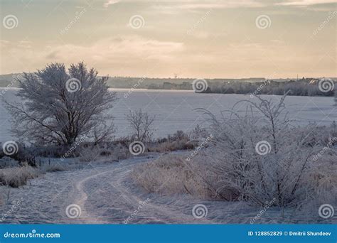 Paisagem Do Inverno Rio E A Floresta Congelados Na Geada Imagem De