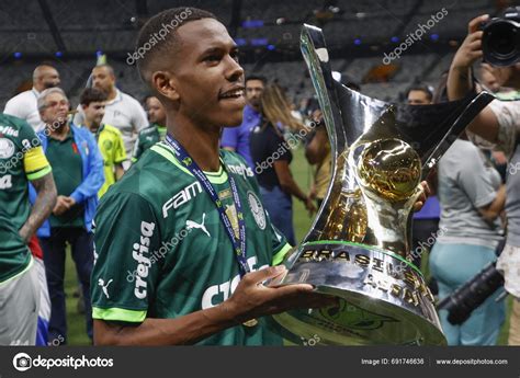 Belo Horizonte Brazil Palmeiras Celebrates Th Title