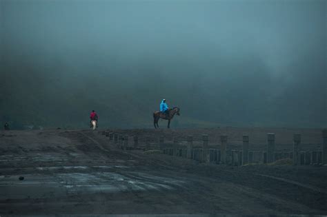 Rain Rain Go Away - Horse Rookie