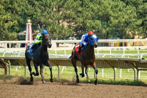 Your Guide To Kentucky Derbys Prep Races Blue And Cream Card