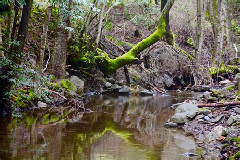 Moore Creek Park Napa Outdoors