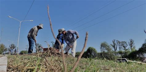 Trabajo De Parquizado En La Avenida Hip Lito Yrigoyen Municipalidad