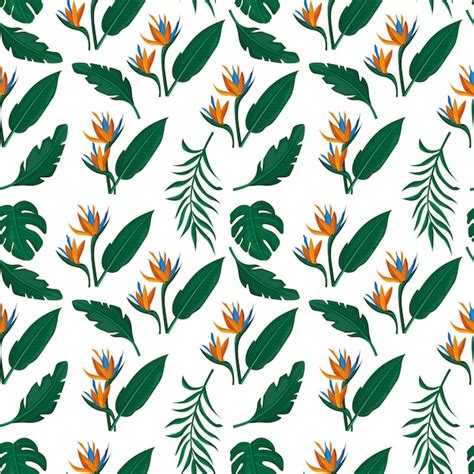 Hintergrund Botanisches Design Exotische Blumen Blume Strelitzia