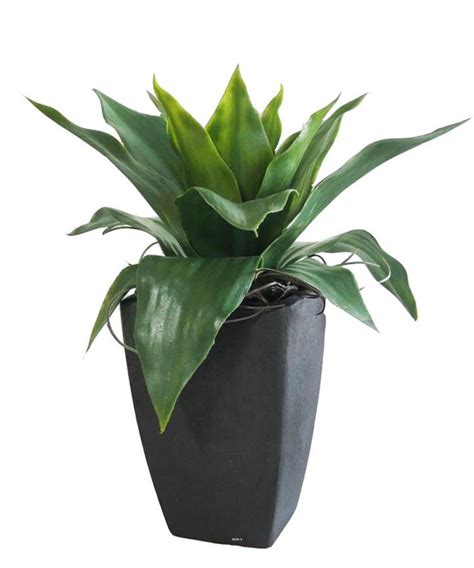 Agave succulente plante artificielle cactée en pot h 35 cm vert type c