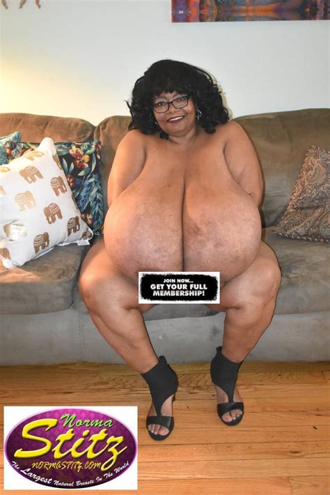 Norma Stitz 1 Pics Xhamster