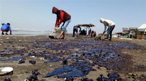 Kemenkes Disebut Cuek Soal Zat Berbahaya Terkait Kebocoran Minyak Pertamina