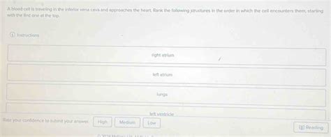 Solved A Blood Cell Is Traveling In The Inferior Vena Cava And