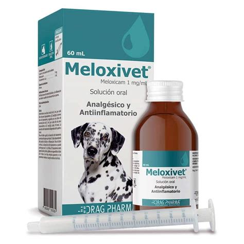 Cuanto Tarda El Meloxicam En Hacer Efecto En Perros