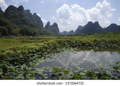 Guilin Landscape Limestone Karst Hills Stock Photo 1372064732 ...