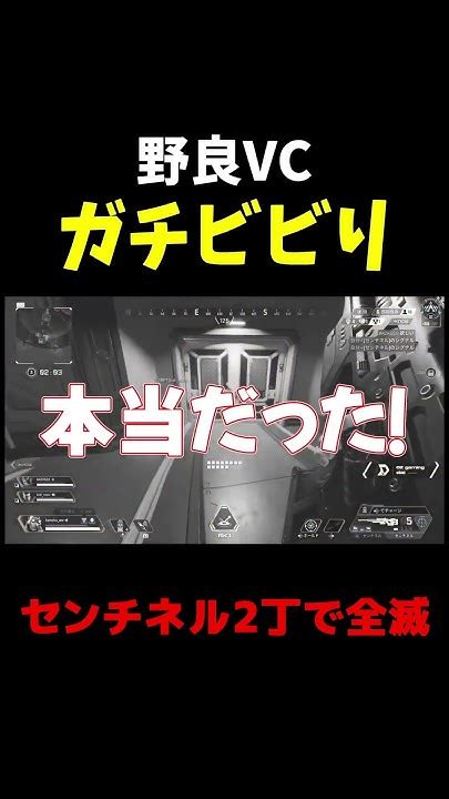 センチネル2丁で野良キャリーしたら反応おもろすぎw【apex】【爪痕ダブハン 元プレデター】 Youtube