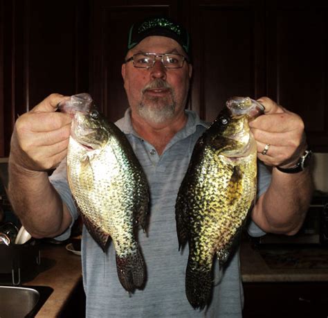 Good Time To Target Trophy Crappie Through The Ice Canadian Sportfishing