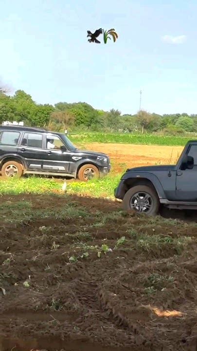 Mahindra Scorpio And Thar 4×4 Driftingstunt Shorts Scorpiothar