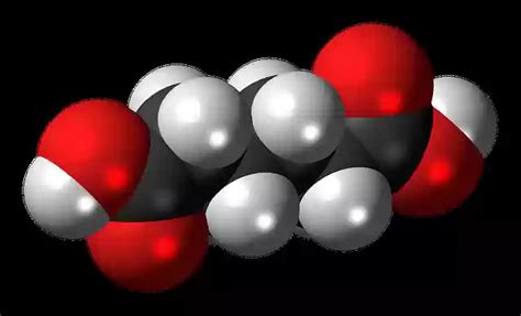 Adipic Acid Molecule Structure By Offidocs For