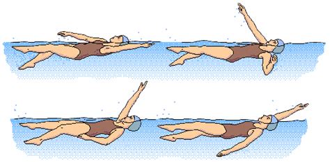 Basic Swimming Tutorial: Backstroke | Swimming Lesson in KL, PJ, Shah Alam, JB, Seremban, Penang