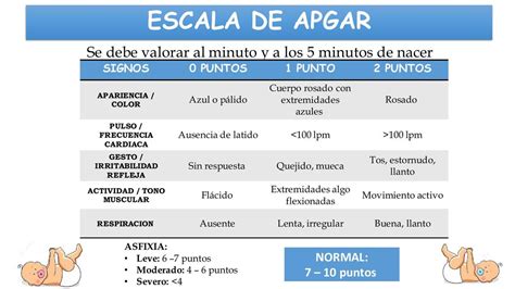 Escala De Apgar Enfermer A Apuntes De Enfermer A Udocz