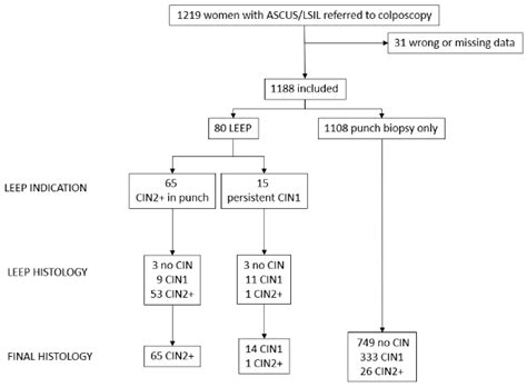 Risk Factors Associated with CIN2+ in Spanish Patients with L-SIL/ASCUS ...