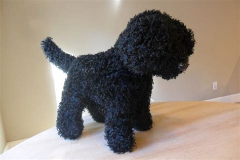 Items Similar To Black Lusciously Soft Labradoodle Standard Poodle On