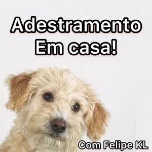 Adestramento Em Casa EADUnipet