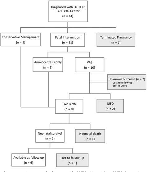 Figure 1 From Outcomes Of Fetuses With Lower Urinary Tract Obstruction