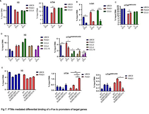 Ptms Mediated Differential Binding Of C Fos To Promoters Of Target