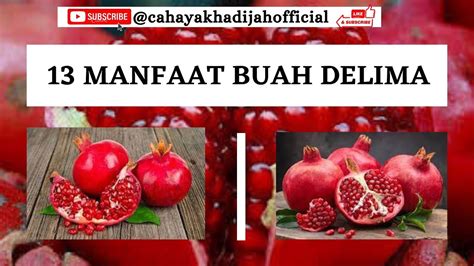 Manfaat Buah Delima Untuk Kesehatan Youtube