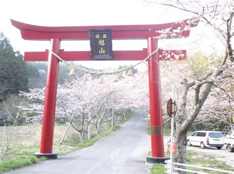 桜咲く春の日本三景～松島～【basetohoku 松島】｜モデルコース 旅東北 東北の観光・旅行情報サイト