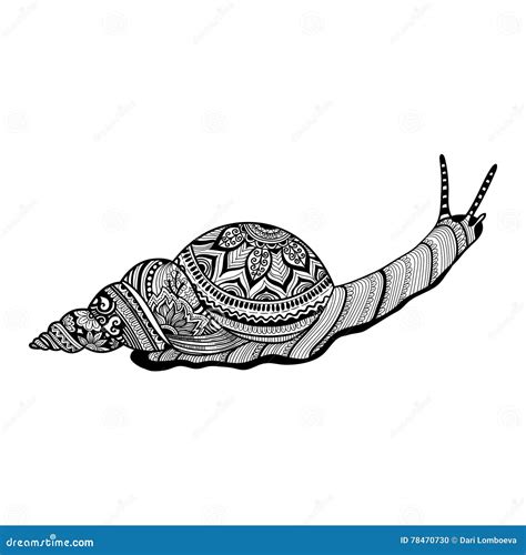 Hand Drawn Doodle Vector Outline Snail Illustration Decorated With