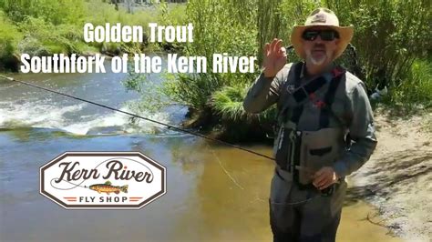 Fly Fishing The South Fork Of The Kern May 21 2020 Youtube