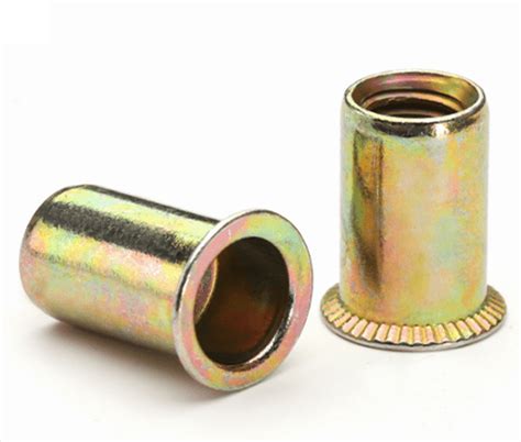 Reduce Head Round Body Rivet Nut Hele Metal Self Clinching Fasteners