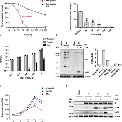 Characterization Of The Citrullinated Proteome Citrullinome Of