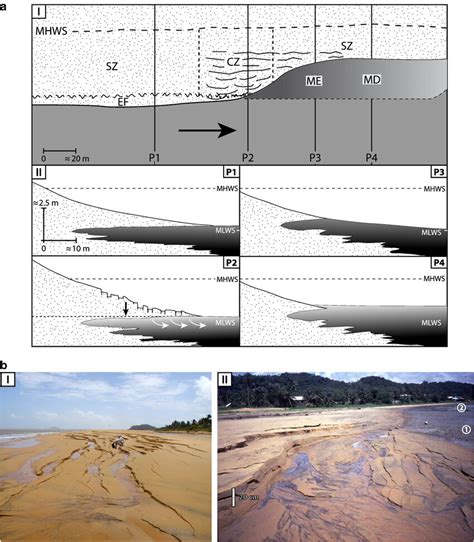 Beach Collapse Features Due To Subsidence Of Mud Underlying A Cover Of