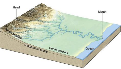 Geol Exam Flashcards Quizlet