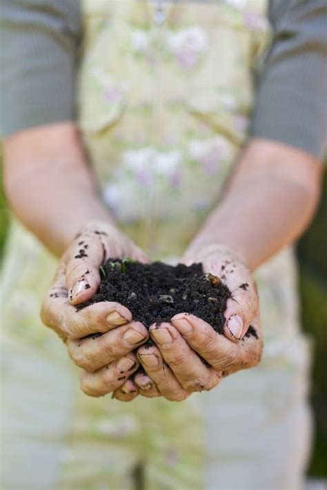 How to use Dry Leaves in the Garden - Lady Lee's Home