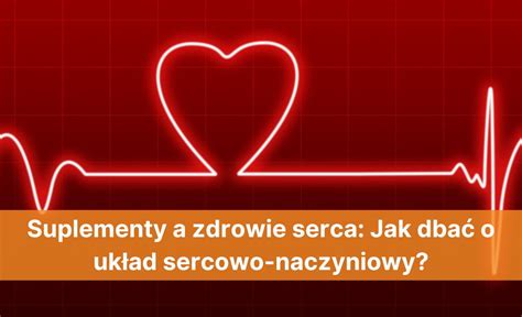 Suplementy a zdrowie serca Jak dbać o układ sercowo naczyniowy Blog