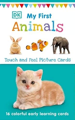 Top 10 Best Baby Einstein First Words Discovery Cards Of 2022 Reviews