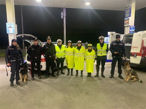 Controlli Interforze Su Strada Nel La Polizia Municipale Di