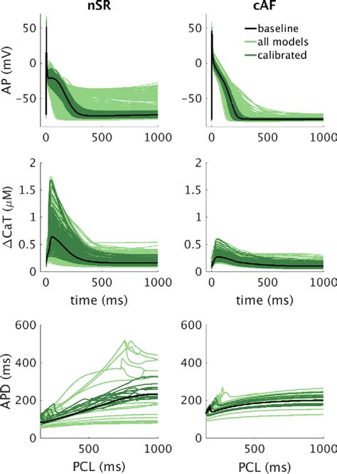 Figure From A Computational Framework For Testing Arrhythmia Marker