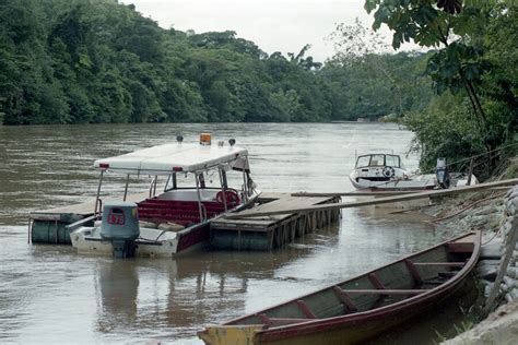 Firmante De Paz Fue Asesinado En Florencia Caquetá