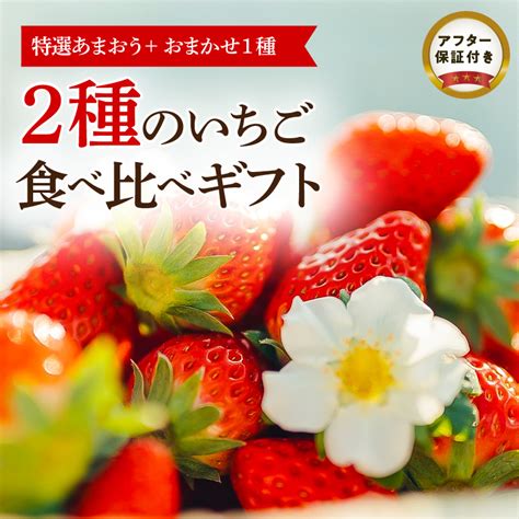 【フルトリエ】特選あまおうおまかせ1種 計2種のいちご食べ比べギフト お礼の品のご紹介 福岡県久留米市ふるさと納税特設サイト