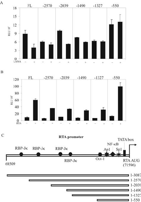 Transcriptional Activity Of Lana A And Rta B On Orf Promoters In