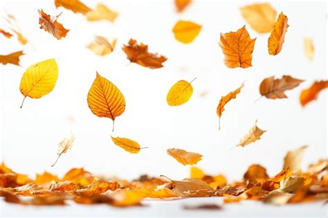 Autumn Leaves Falling Down On White Background Cozy Atmosphere