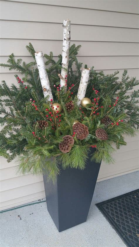 White Birch Pine Cones And Greens All Found In The Woods I Added