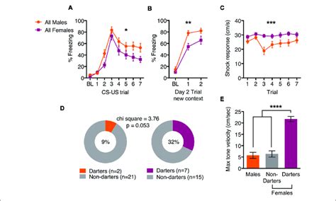 Sex Differences In Active And Passive Behavior During Fear