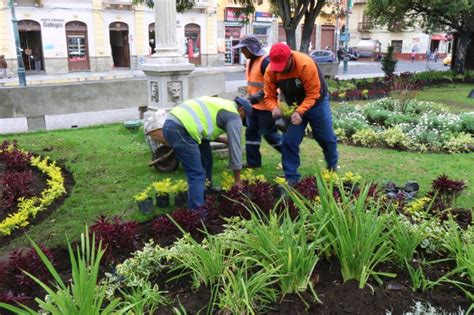 Mantenimiento Areas Verdes Agronow