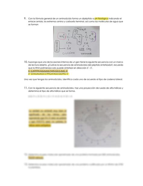 SOLUTION Cuestionario De Bioqu Mica Amino Cidos Y Prote Nas Studypool